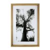 Obraz Natural Tree - 60x40 cm